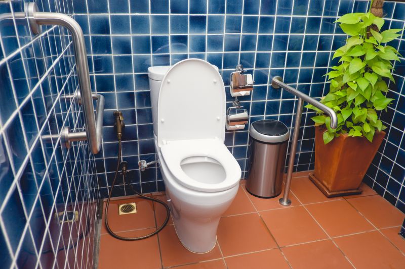 Accessible Bathroom Improvements